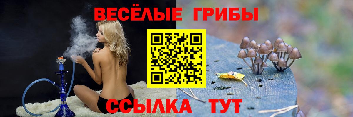 Псилоцибиновые грибы Magic Shrooms Ивантеевка